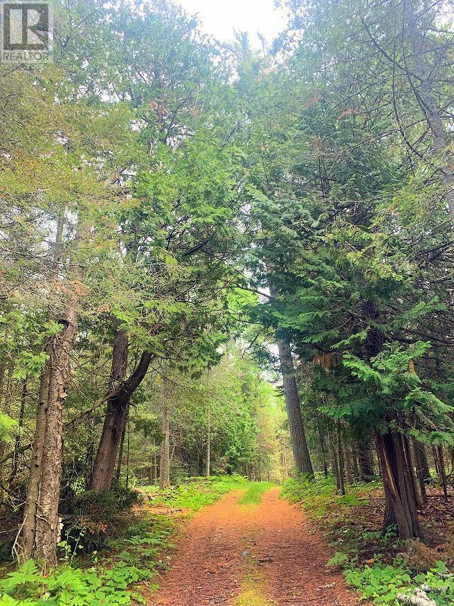 L17C3 Robinson Walkhouse Road, Silver Water, Manitoulin Island, ON