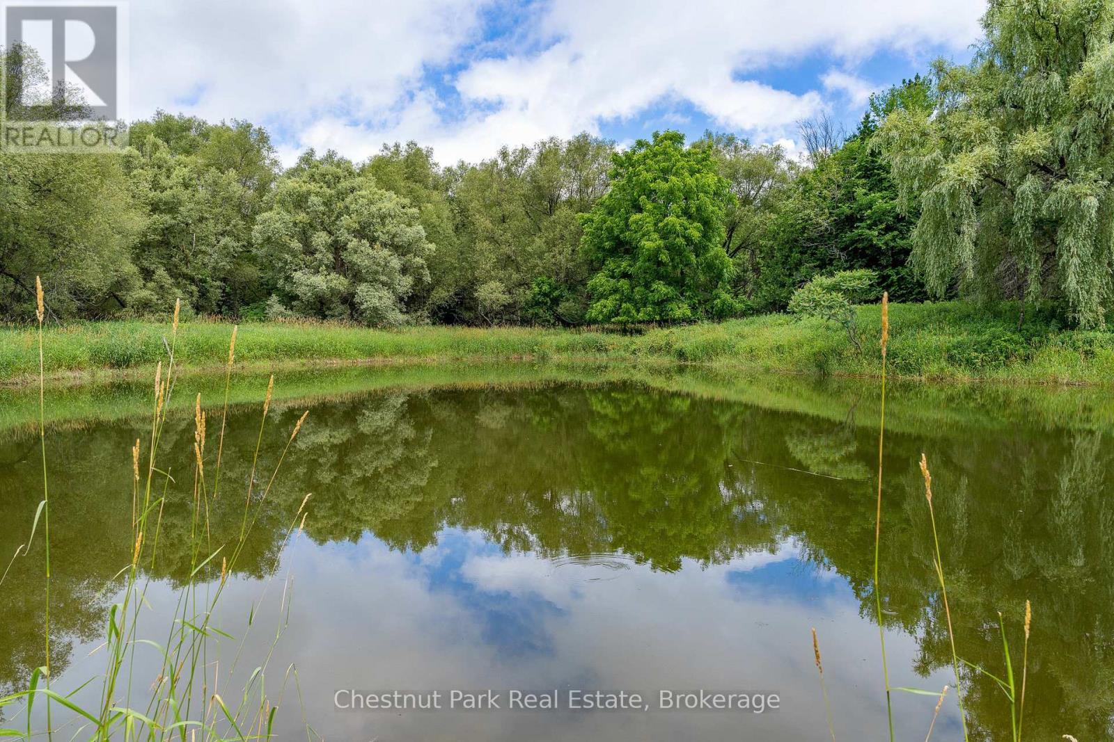 838151 4Th Line E, Mulmur, ON - Outdoor With Body Of Water With View