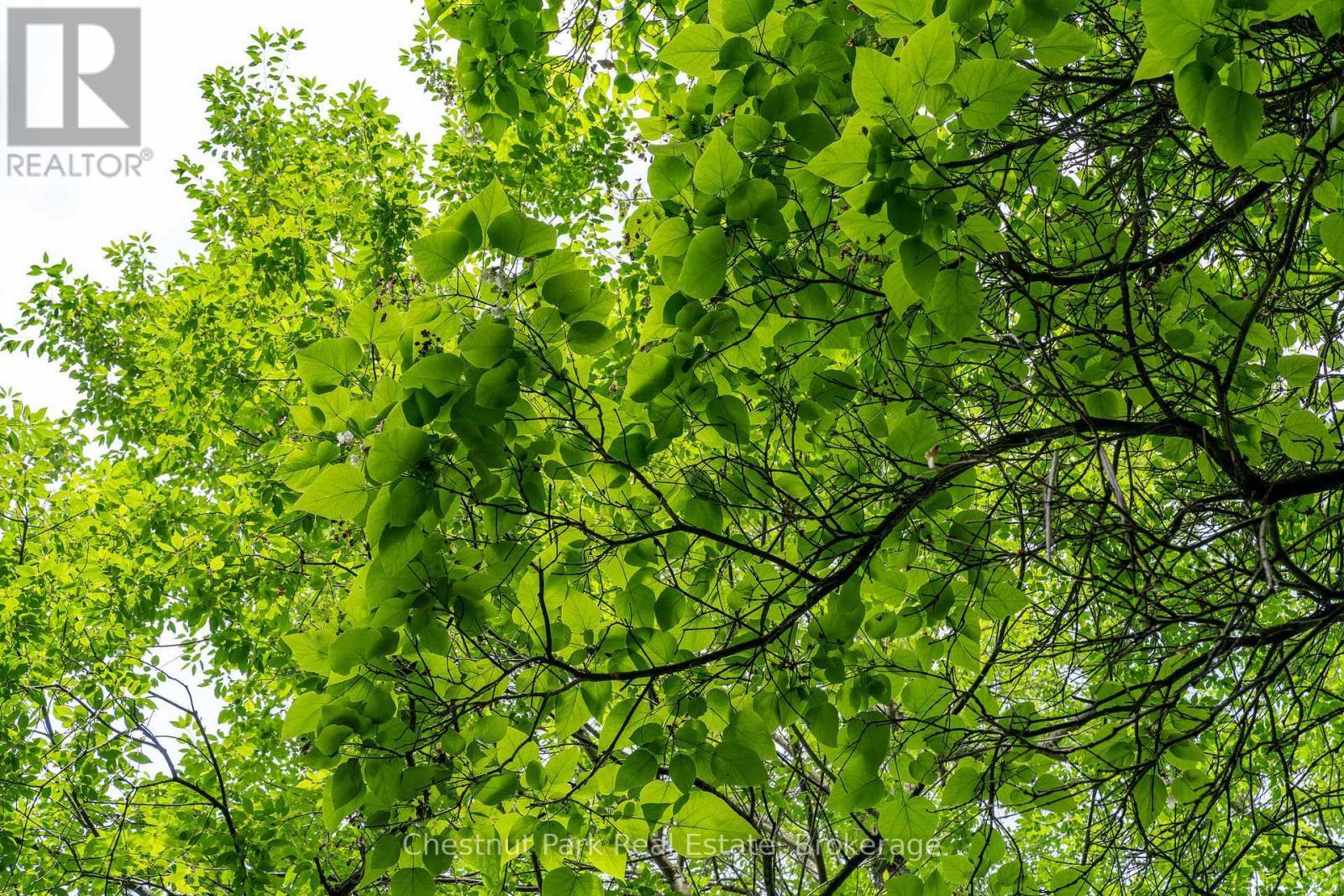 838151 4Th Line E, Mulmur, ON - Outdoor