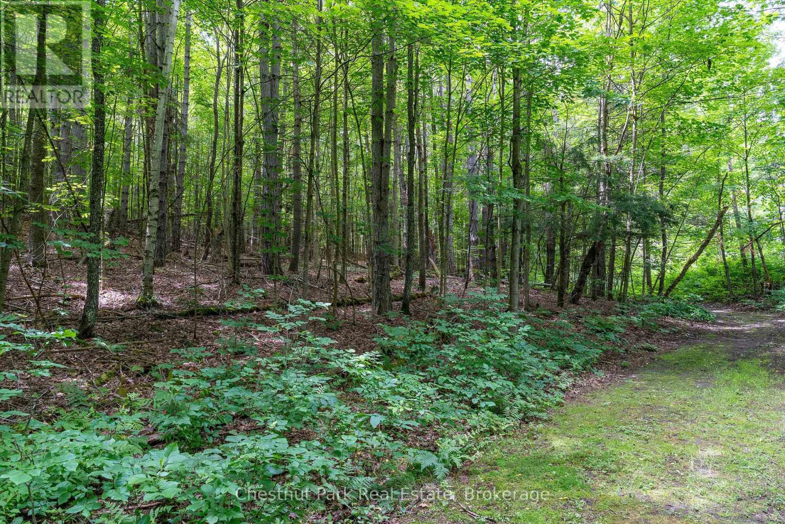 838151 4Th Line E, Mulmur, ON - Outdoor