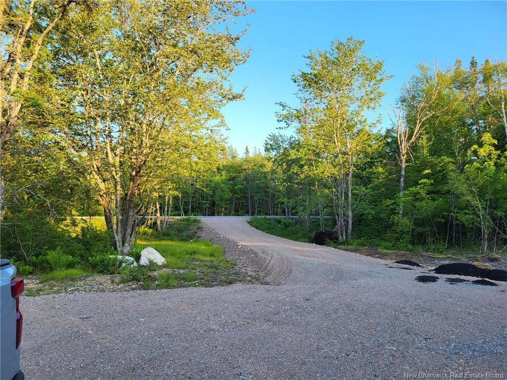 Vacant Route 790, Musquash, NB