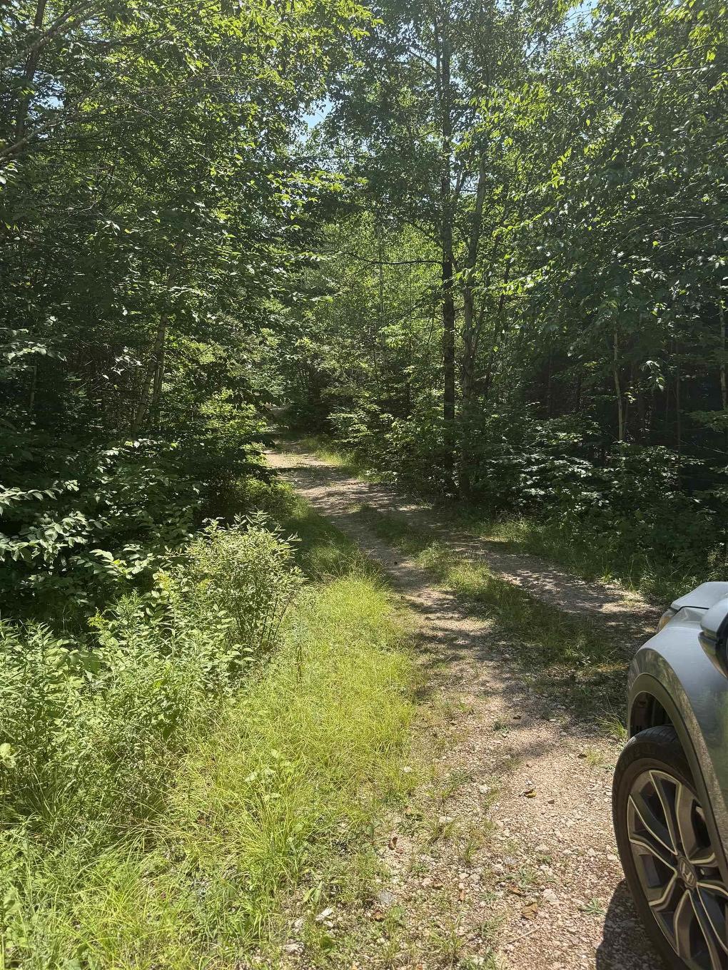 78 Maple Ridge Drive, Franey Corner, NS