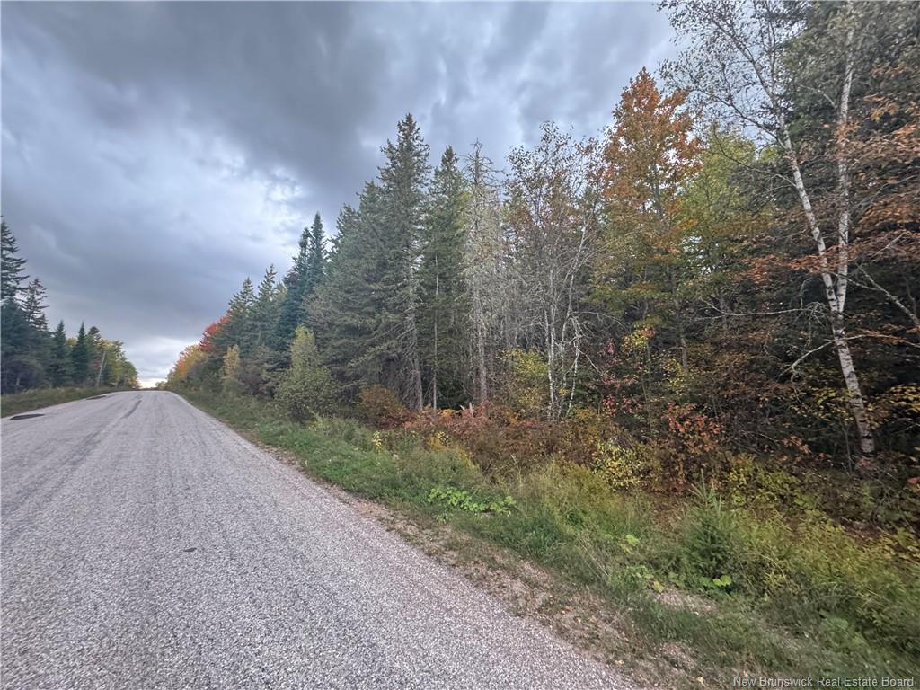 - Salem Rd, Havelock, NB