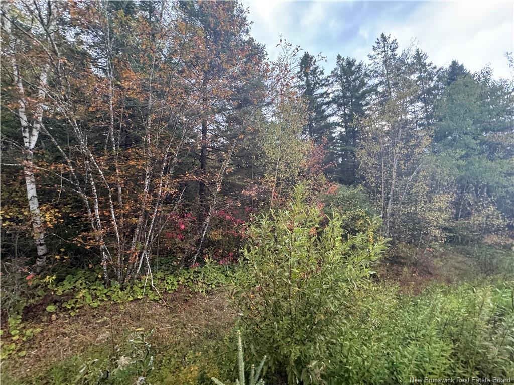 - Salem Rd, Havelock, NB