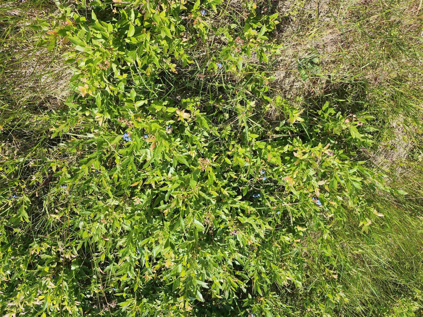 Acreage Selkirk Road, Valley, PE