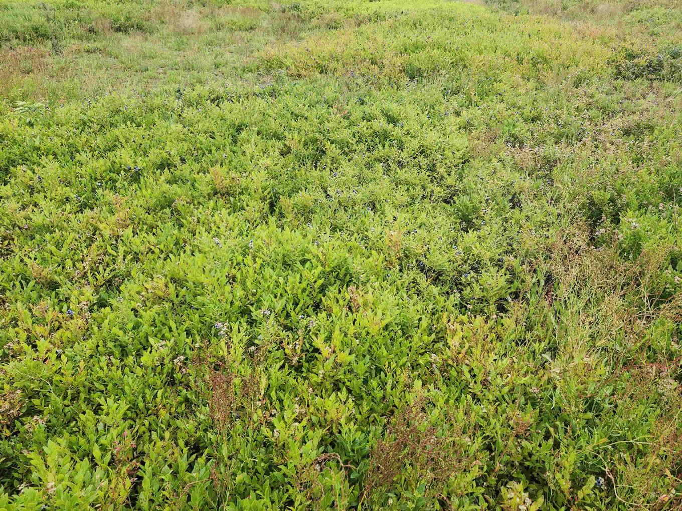 Acreage Colville Road, Ocean View, PE