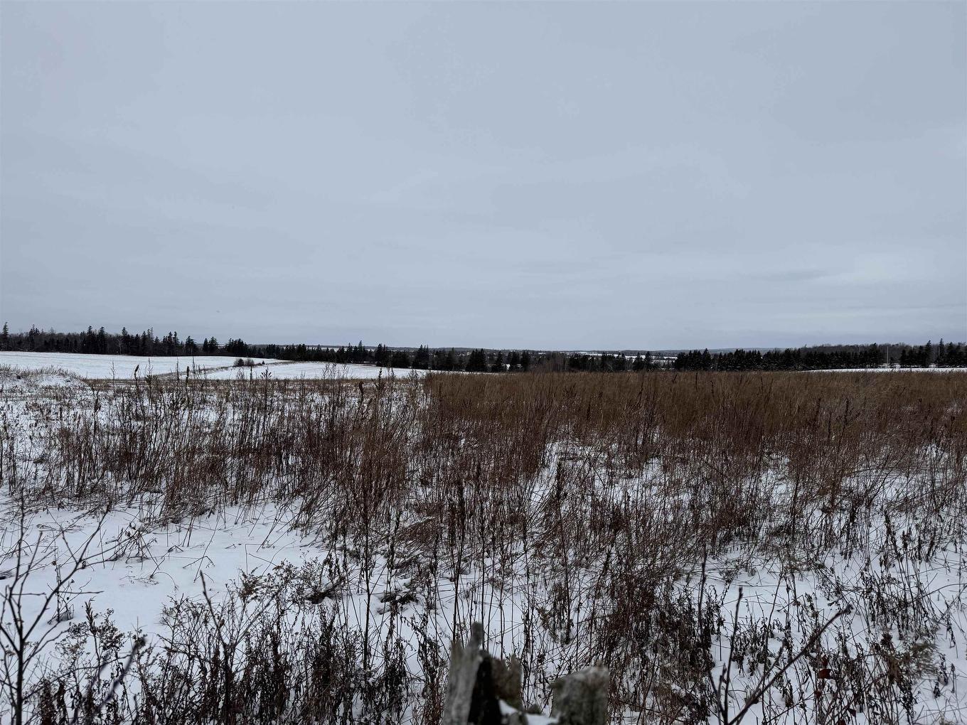 Lot Reid Road, Stanley Bridge, PE