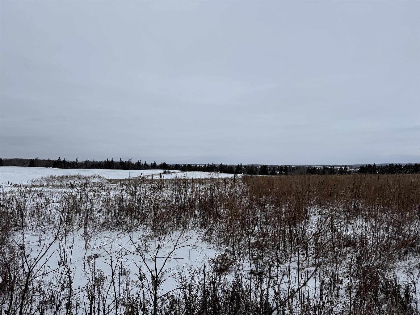 Lot Reid Road, Stanley Bridge, PE