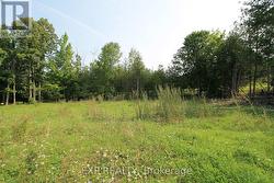 6906 HIGHWAY 41 HIGHWAY Stone Mills (Stone Mills), ON K0K 2A0