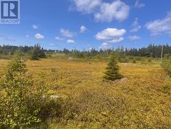 125-147 Main Road Blackhead, NL A0A 1L0