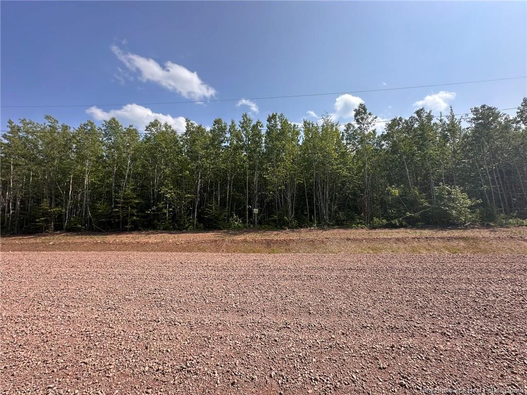 Lot 25-42 Snowfox Dr, Irishtown, NB
