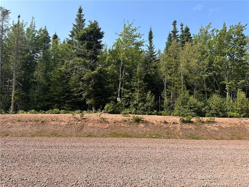 Lot 25-55 Snowfox Dr, Irishtown, NB