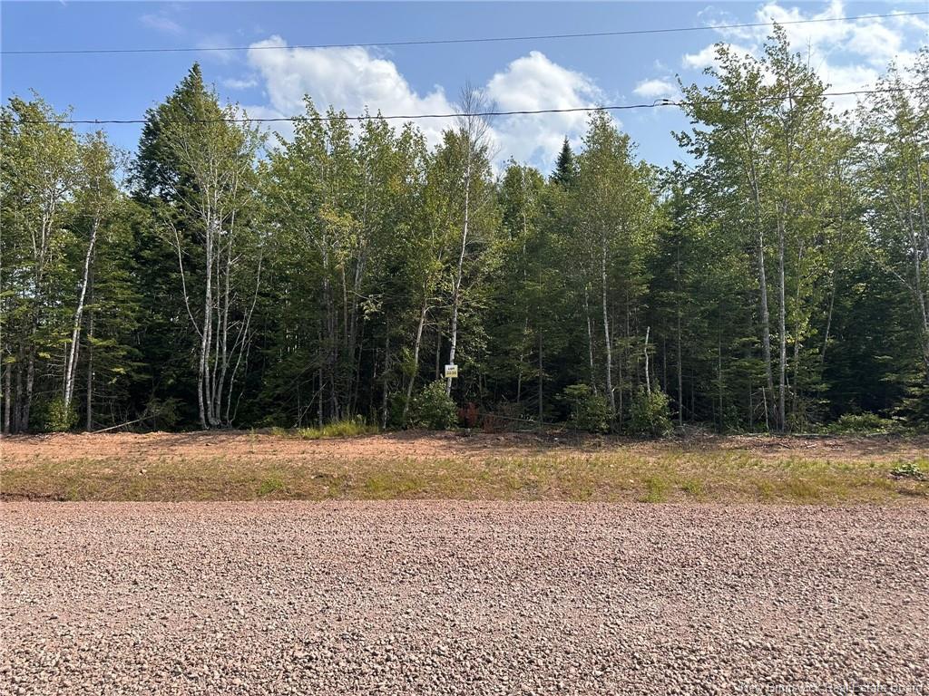 Lot 25-56 Snowfox Dr, Irishtown, NB