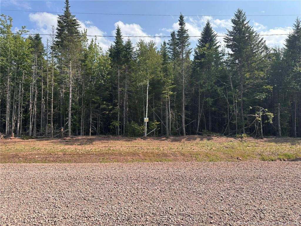 Lot 25-58 Snowfox Dr, Irishtown, NB