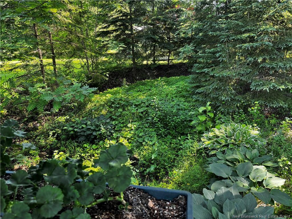 1076 Baisley Rd, Saint-Jacques, NB