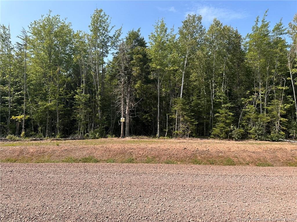 Lot 25-51 Snowfox Dr, Irishtown, NB