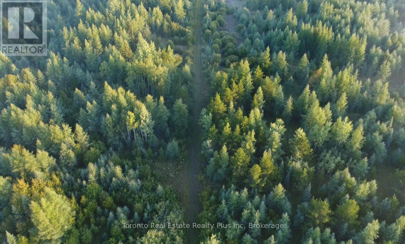 L3 C 5 Grouse Road S, Black River Matheson, ON