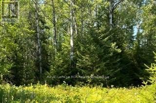 25 I Street, Cockburn Island, ON