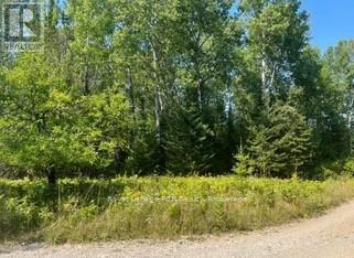 25 I Street, Cockburn Island, ON