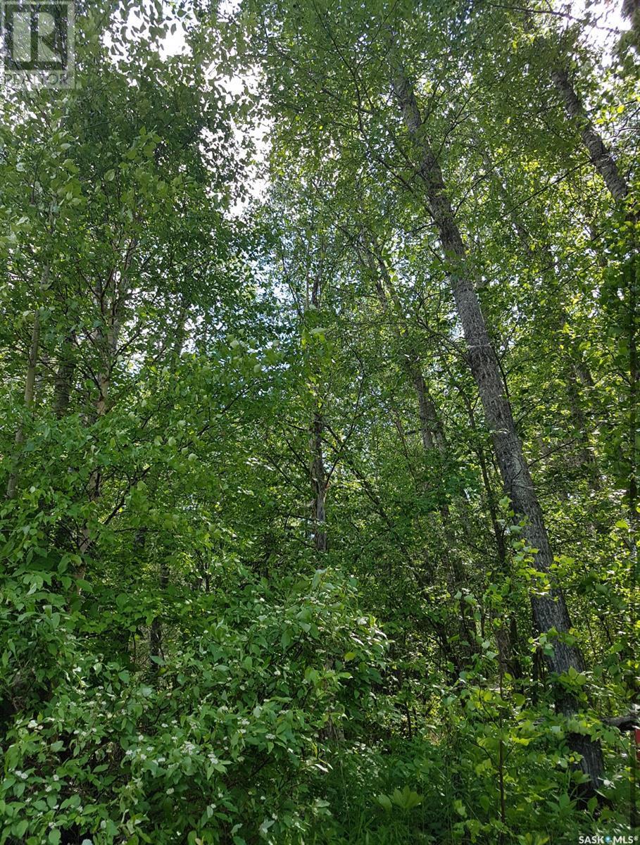 23 Delaronde Way (John Dunn Estates), Big River Rm No. 555, SK