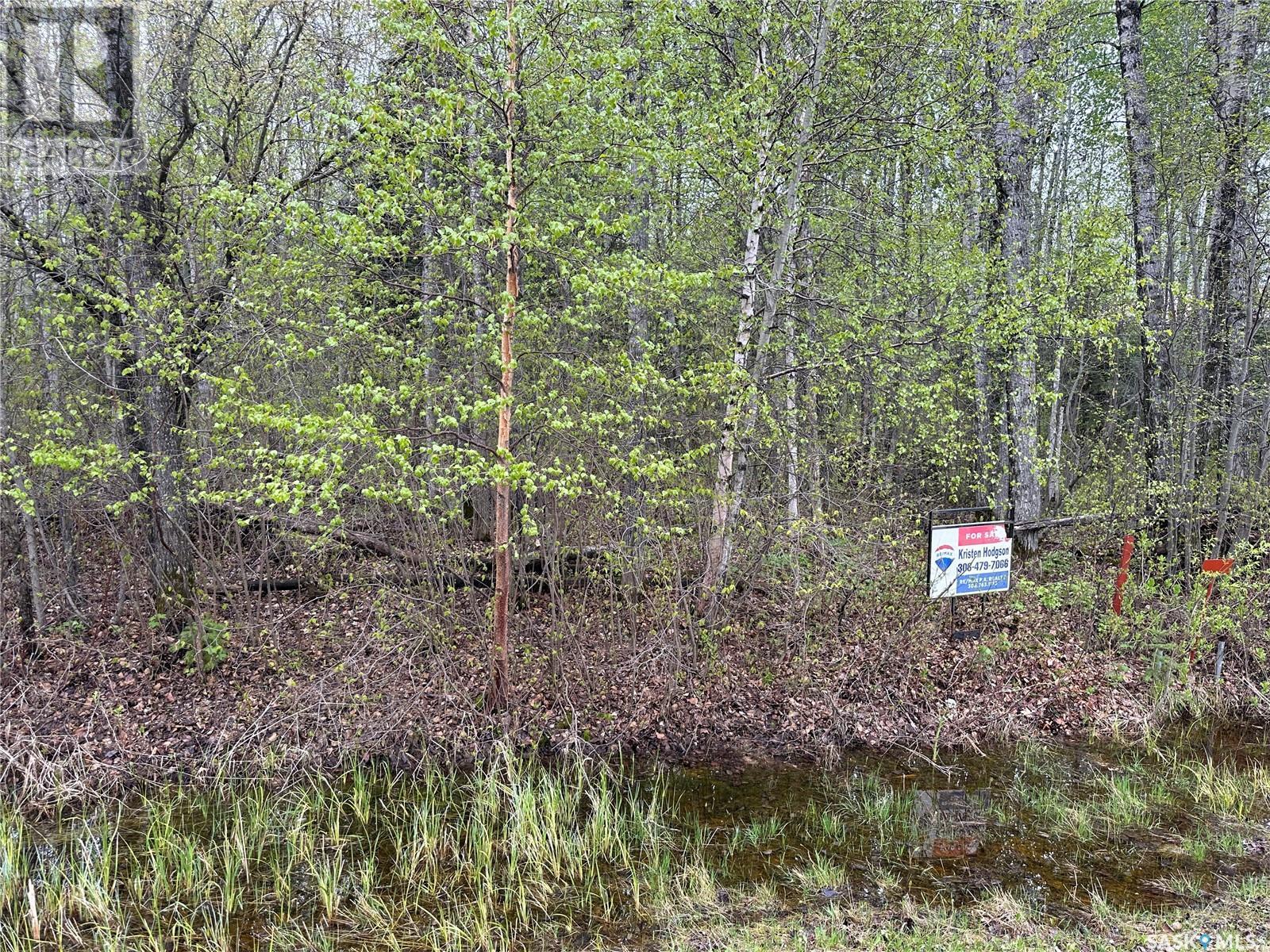 23 Delaronde Way (John Dunn Estates), Big River Rm No. 555, SK