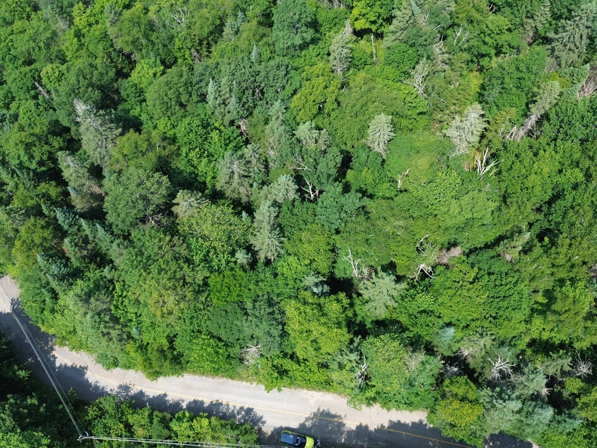 Aerial View - Ch. Du Cerf, Mont-Blanc, QC