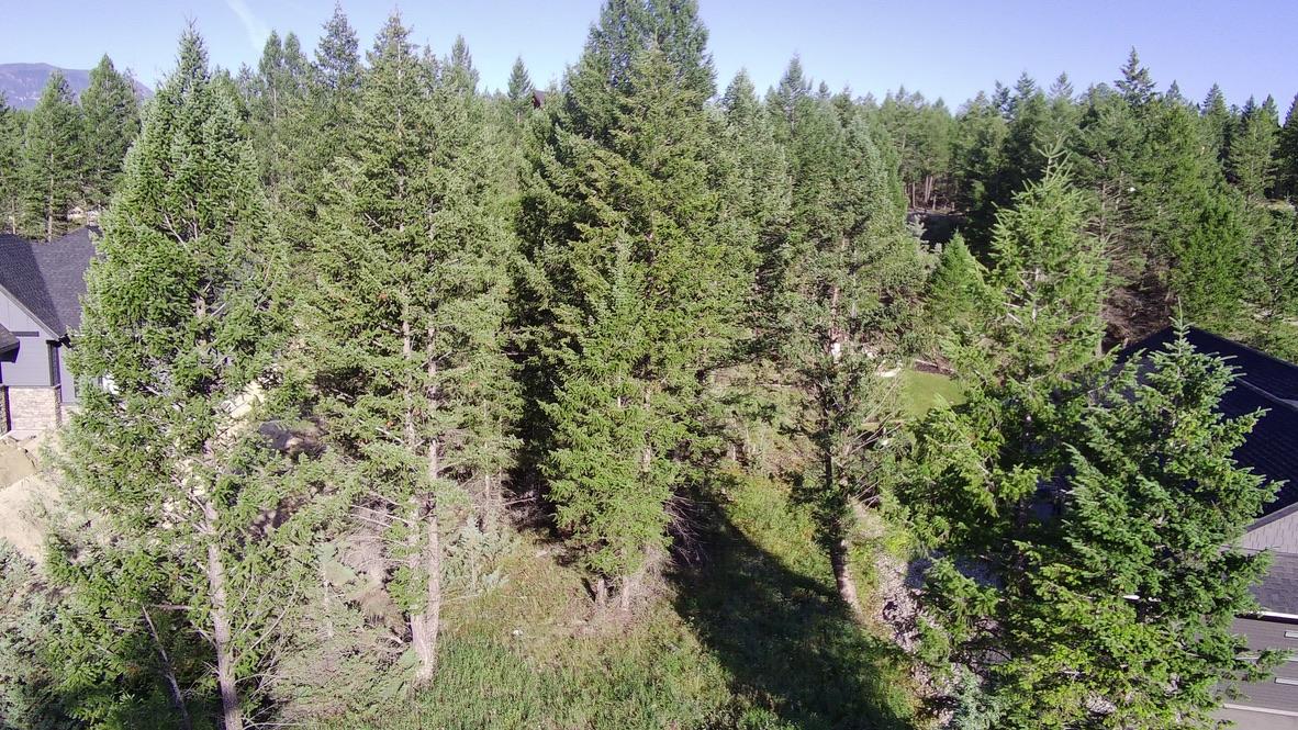 24 Cooper Road, Windermere, BC - Outdoor