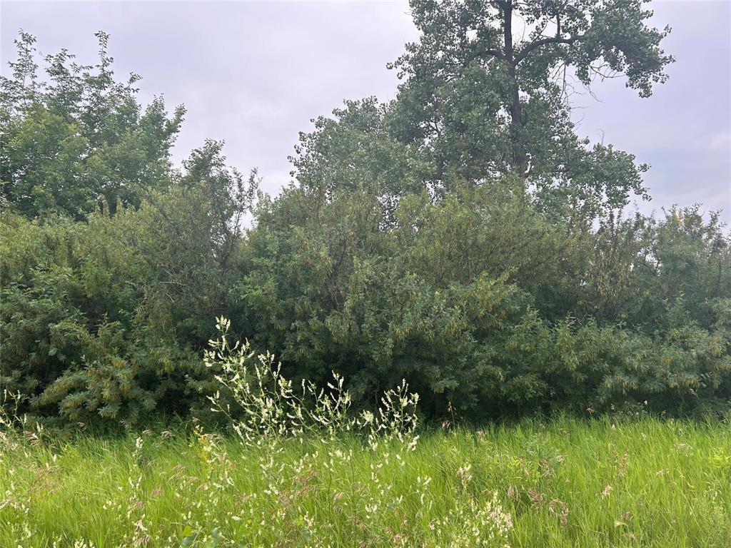 RM of Elton, Manitoba