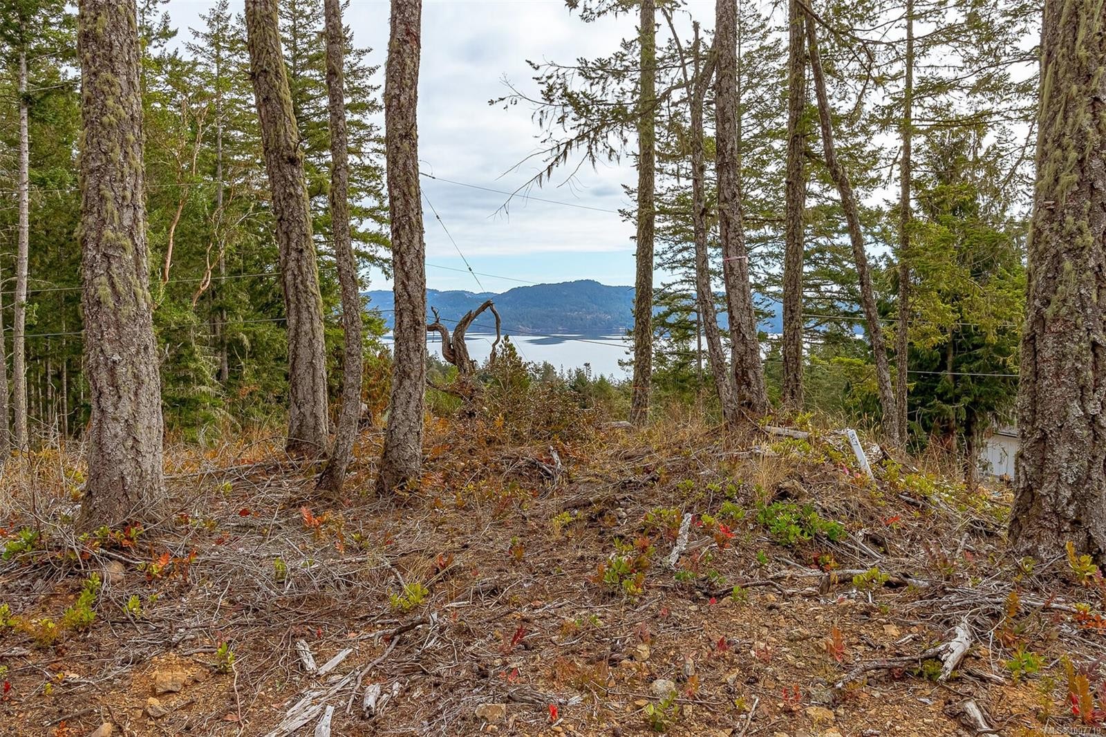 Lot 1 Owl'S Nest Pl, Sooke, BC