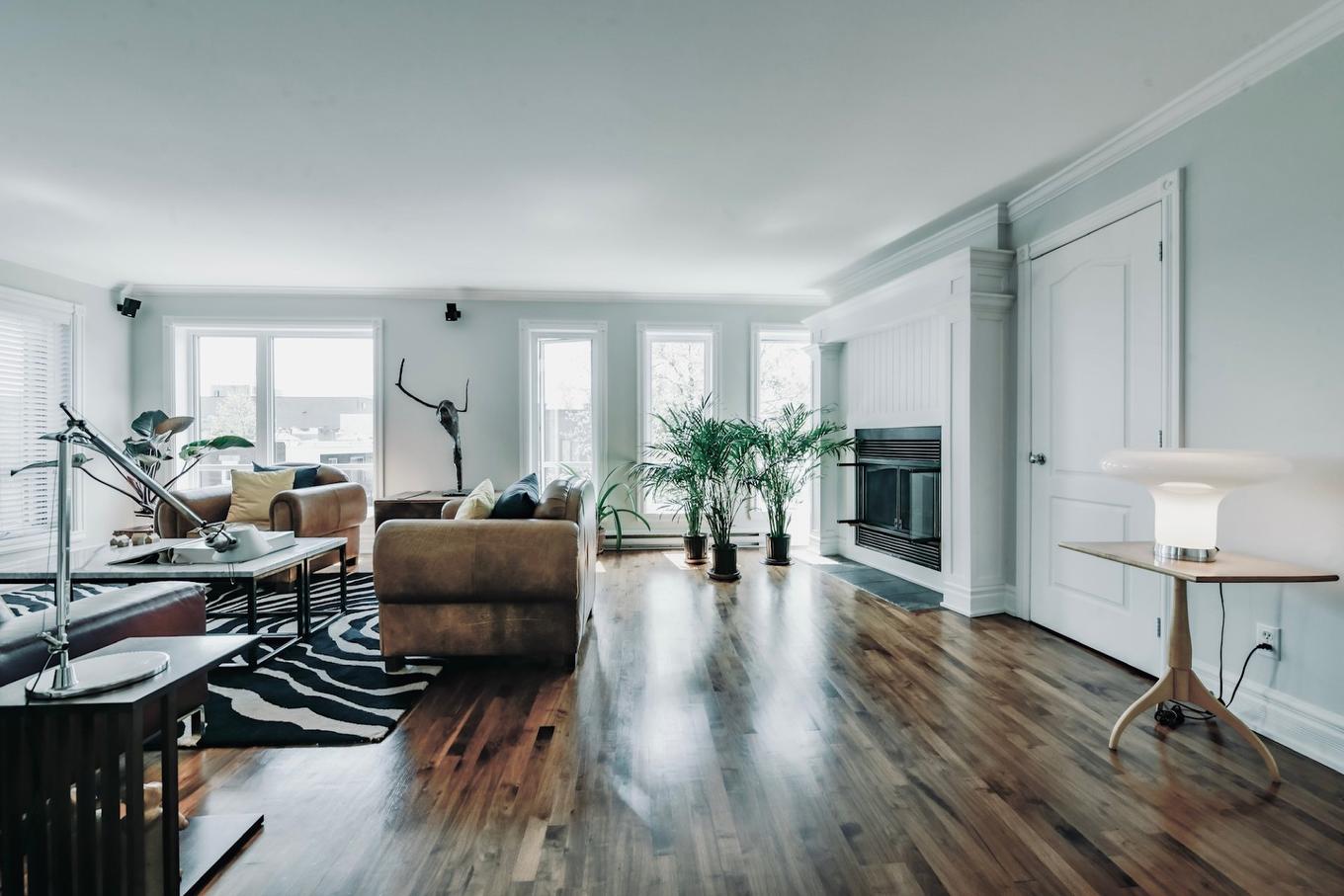 Salon - 5621 Av. Des Érables, Montréal (Rosemont/La Petite-Patrie), QC - Indoor Photo Showing Living Room