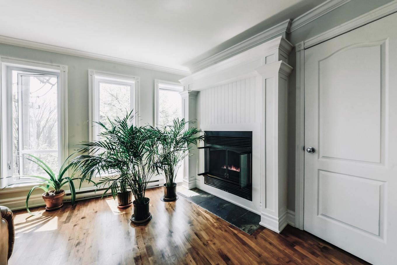 Salon - 5621 Av. Des Érables, Montréal (Rosemont/La Petite-Patrie), QC - Indoor Photo Showing Living Room With Fireplace