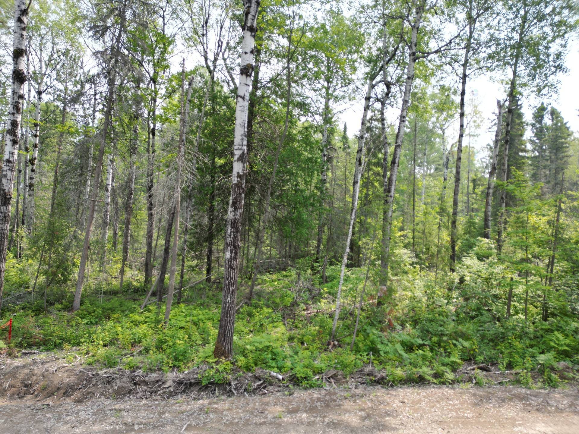 Terre/Terrain - Ch. Bibeau, Duhamel-Ouest, QC