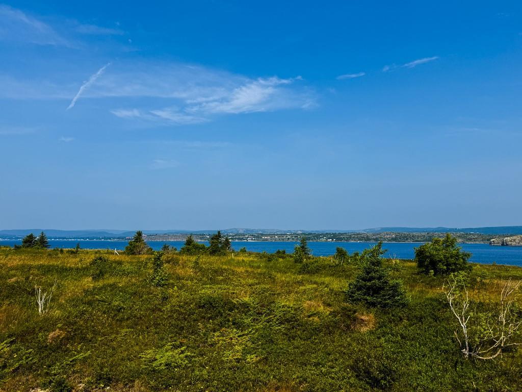 0 Skanes Road, Port De Grave, NL