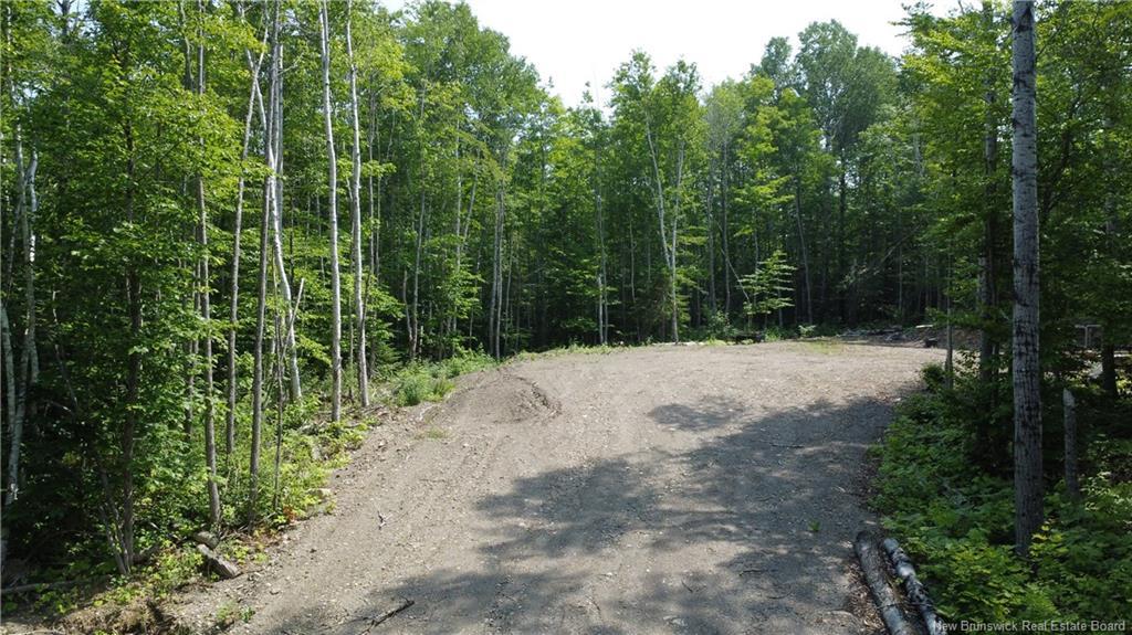 Lot Sormany, Sormany, NB