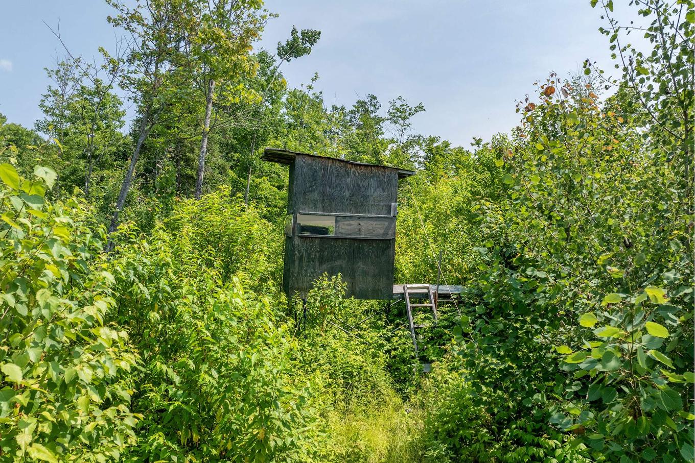 Other - Ch. Des Quatre-Fourches, Lac-Des-Écorces, QC