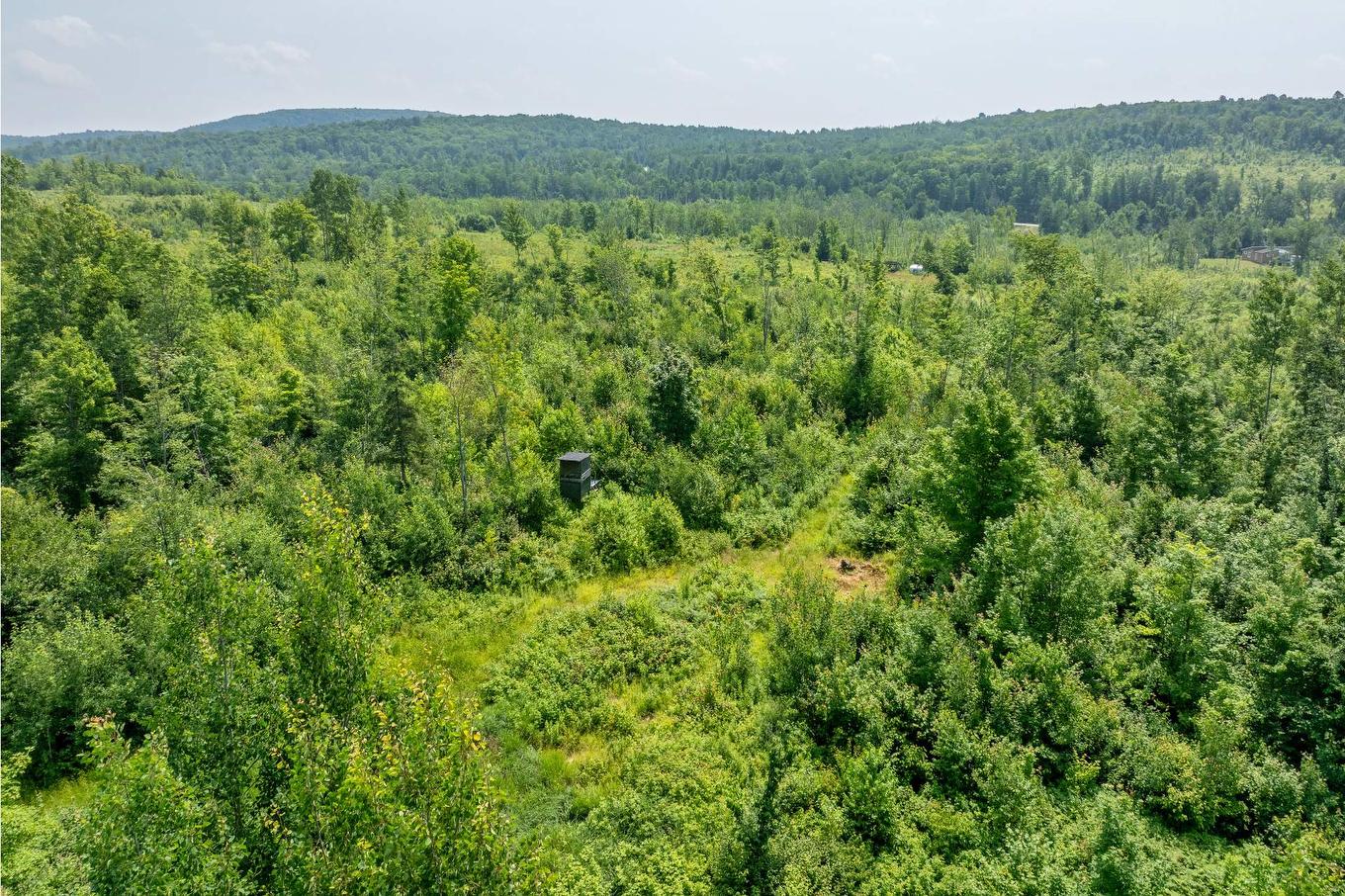 Land/Lot - Ch. Des Quatre-Fourches, Lac-Des-Écorces, QC