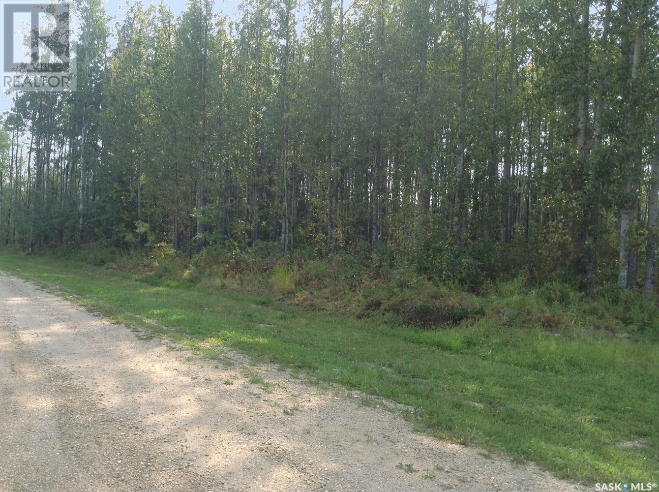 6 Pelly Street, Big River Rm No. 555, SK