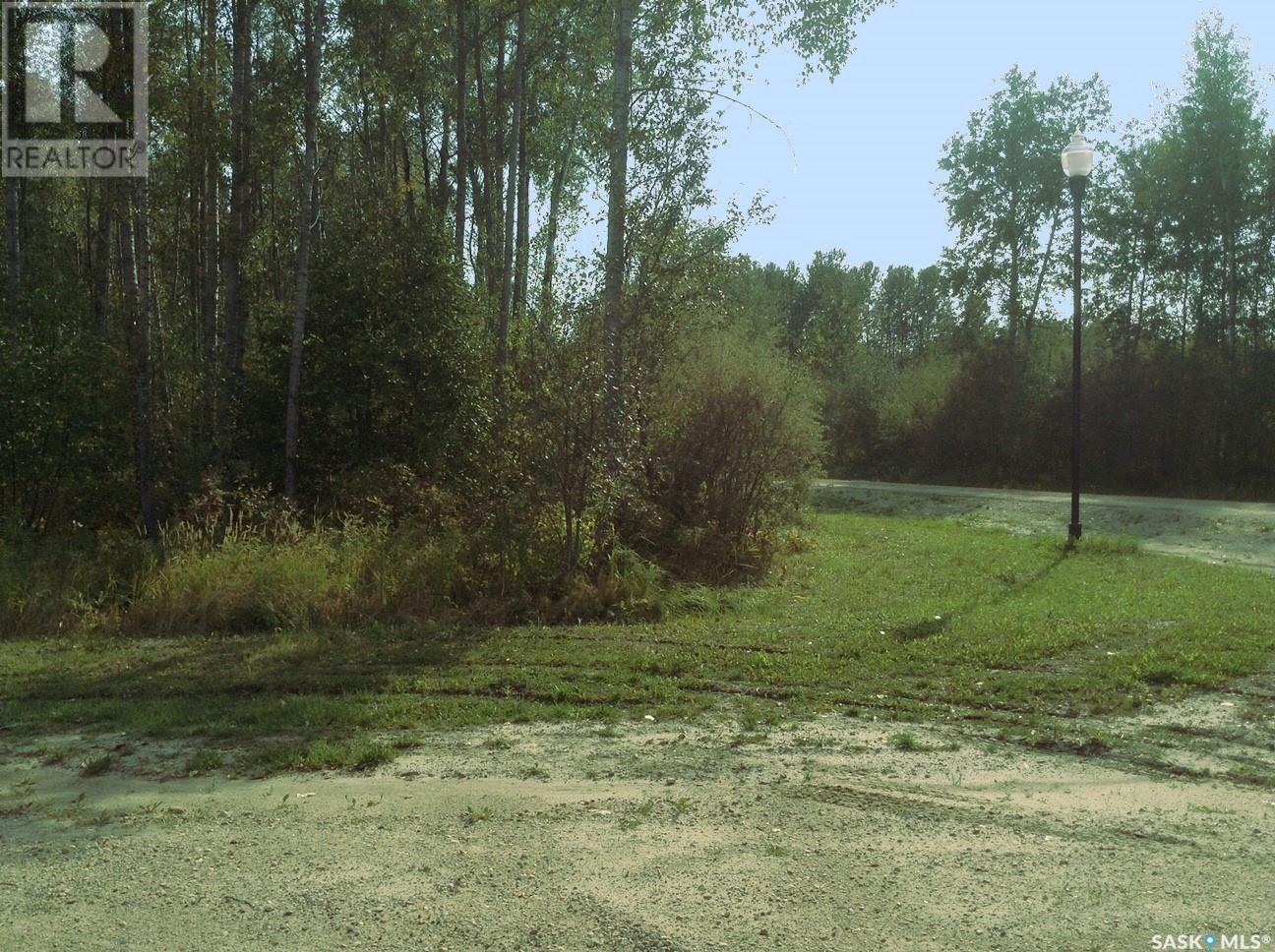 6 Pelly Street, Big River Rm No. 555, SK