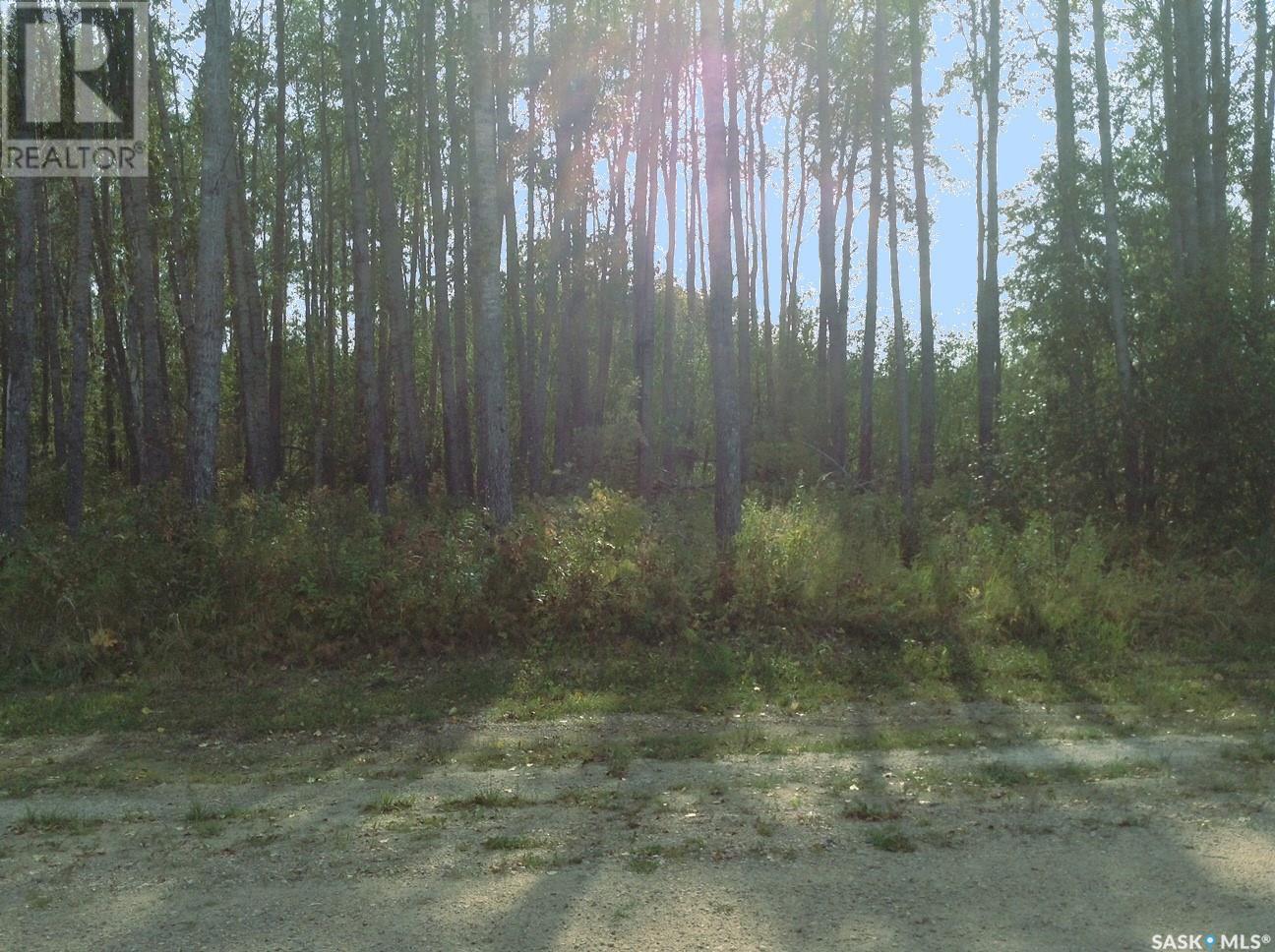 6 Pelly Street, Big River Rm No. 555, SK