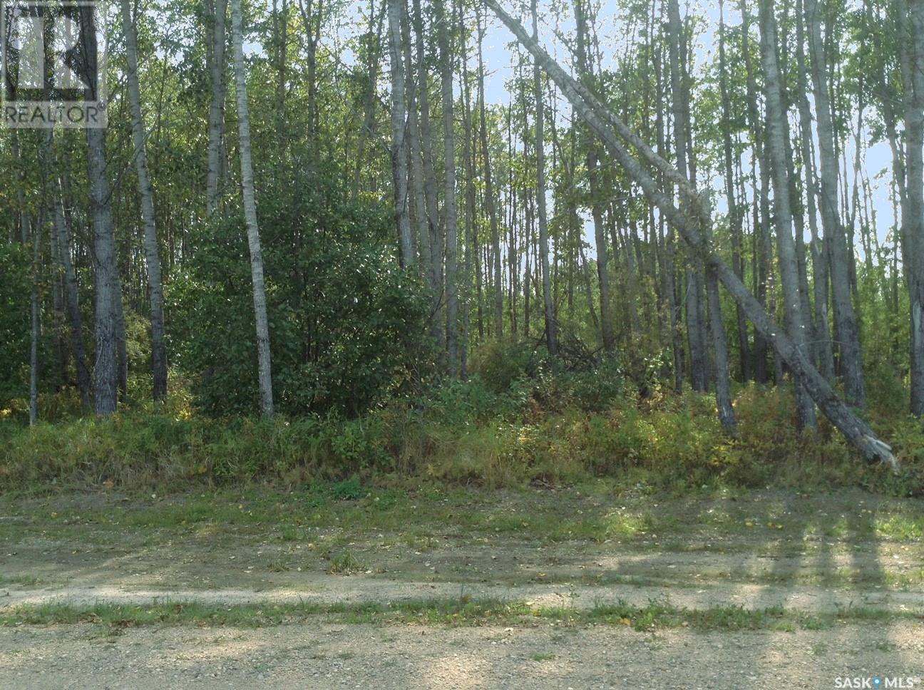 6 Pelly Street, Big River Rm No. 555, SK