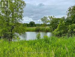 1744 BALKWILL LINE Severn, ON L0K 1E0