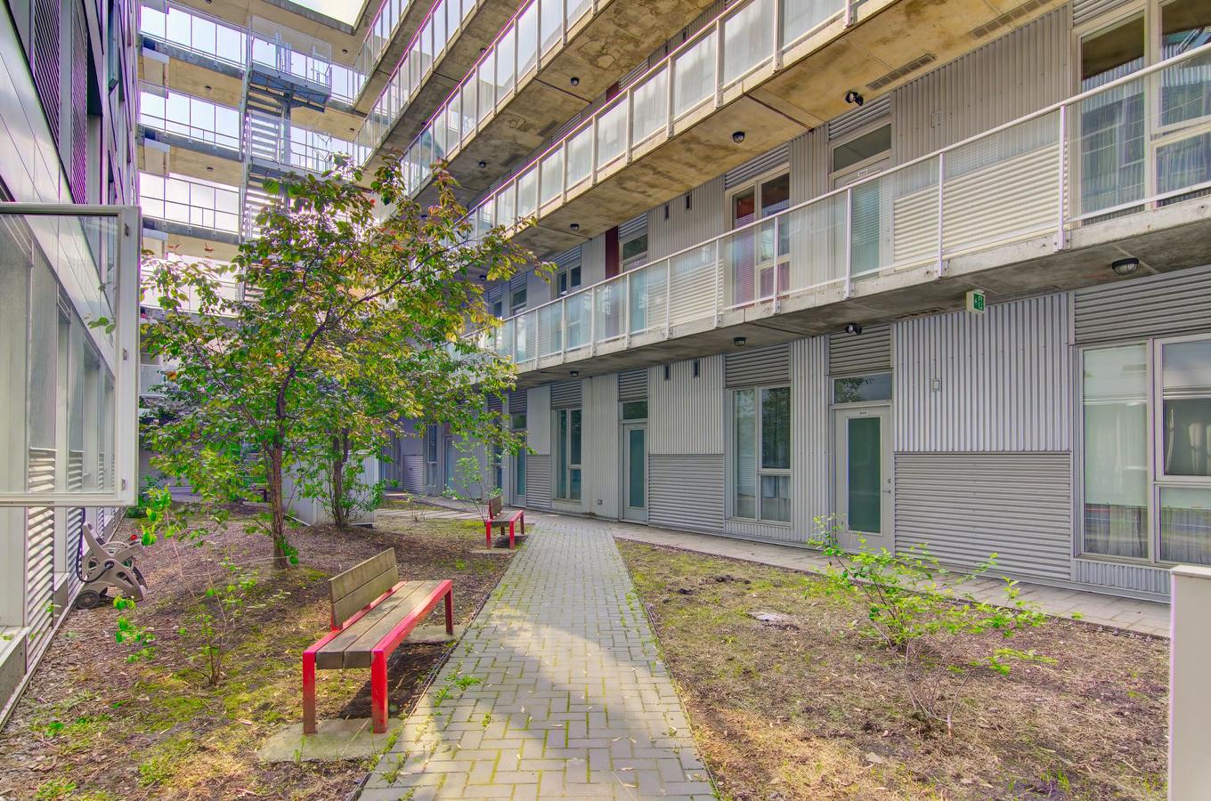 Garden - A504-5200 Av. Gatineau, Montréal (Côte-Des-Neiges/Notre-Dame-De-Grâce), QC - Outdoor