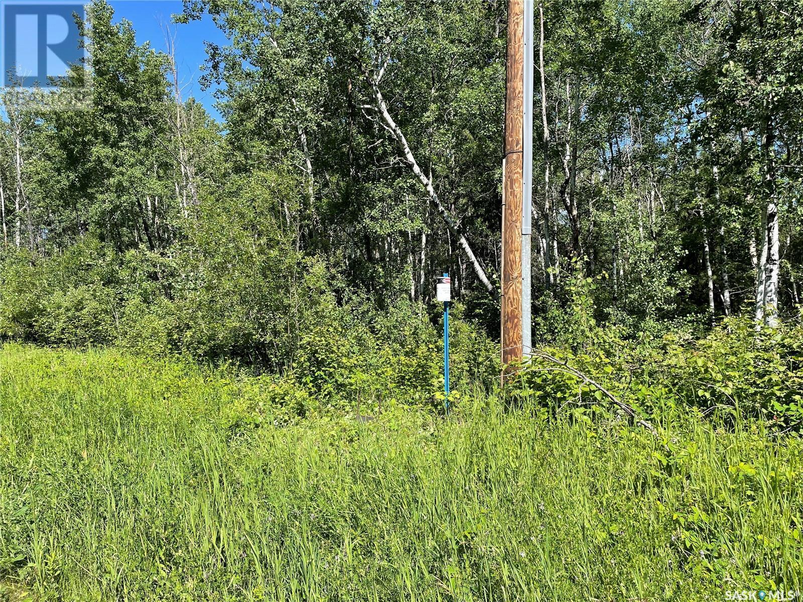 4 Poplar Place, Paddockwood Rm No. 520, SK