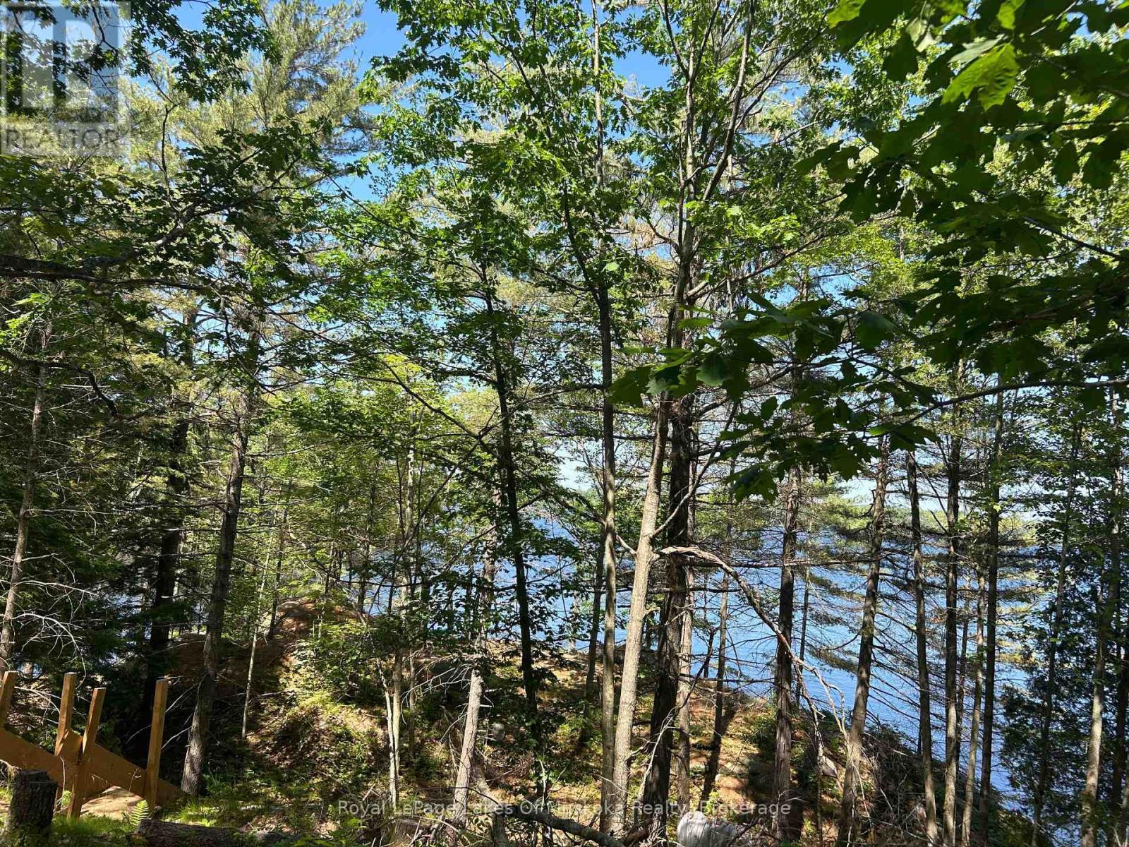 Lot 1 Bala Park Island, Muskoka Lakes (Medora), ON