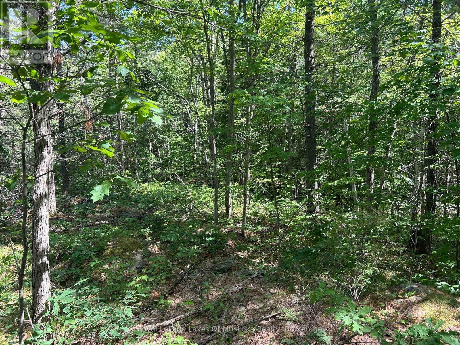 Lot 1 Bala Park Island, Muskoka Lakes (Medora), ON