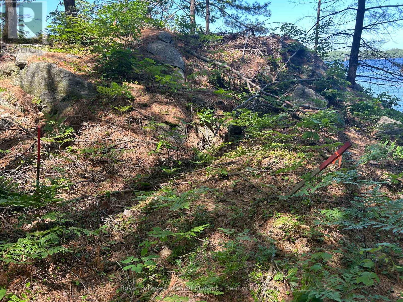 Lot 1 Bala Park Island, Muskoka Lakes (Medora), ON