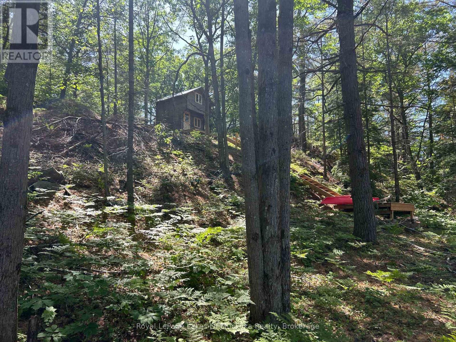 Lot 1 Bala Park Island, Muskoka Lakes (Medora), ON