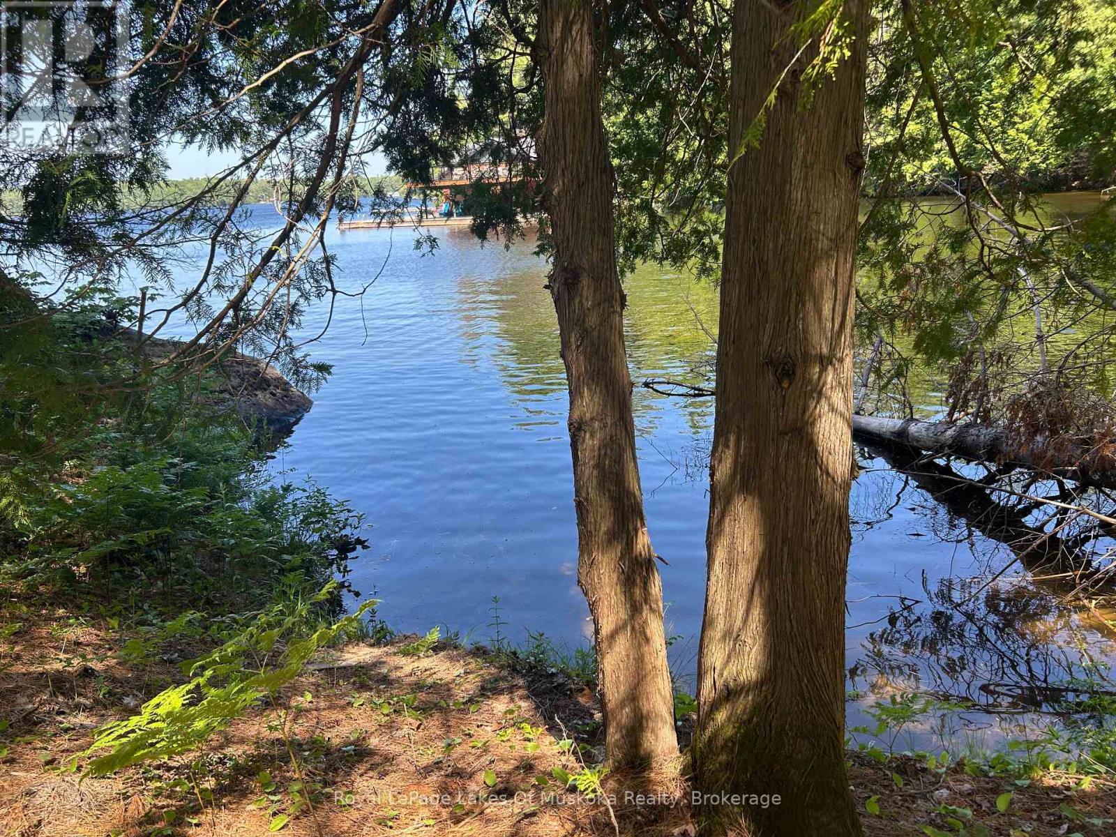 Lot 1 Bala Park Island, Muskoka Lakes (Medora), ON