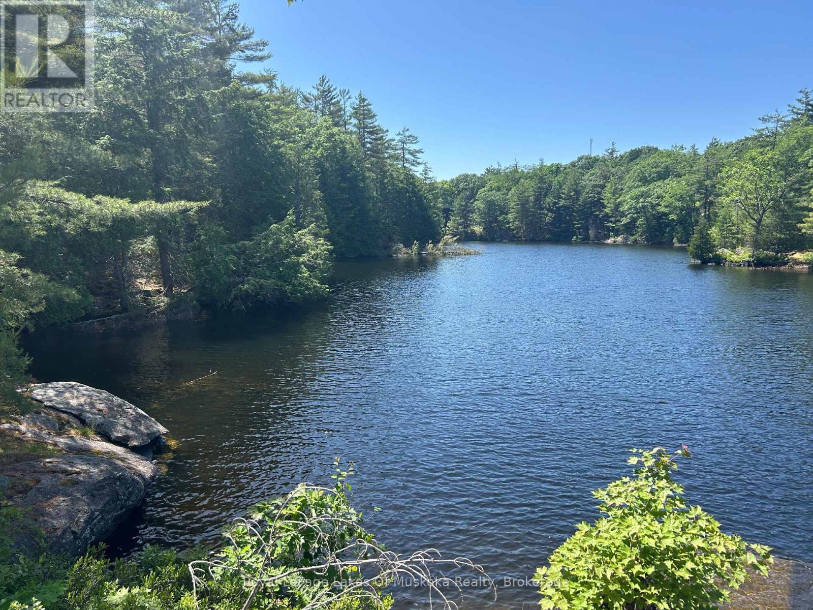 Lot 1 Bala Park Island, Muskoka Lakes (Medora), ON