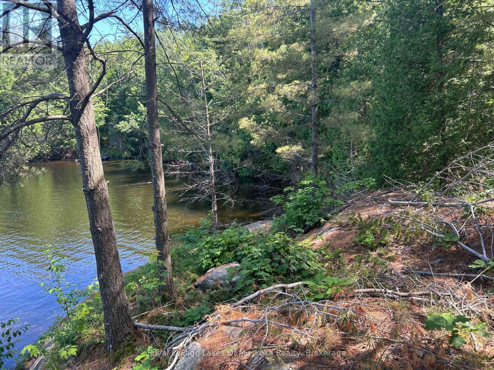 Lot 1 Bala Park Island, Muskoka Lakes (Medora), ON